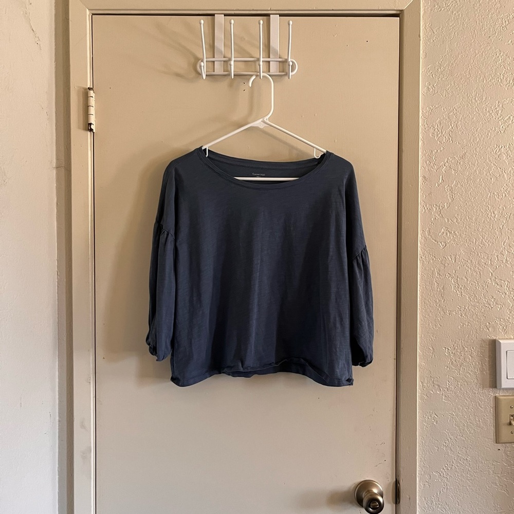 Garnet Hill Blue Blouse
